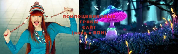 apvp Верхний Тагил