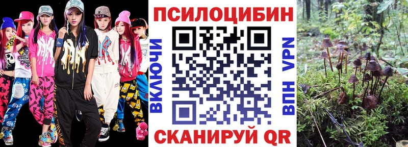 Псилоцибиновые грибы Cubensis  магазин продажи   Тверь 
